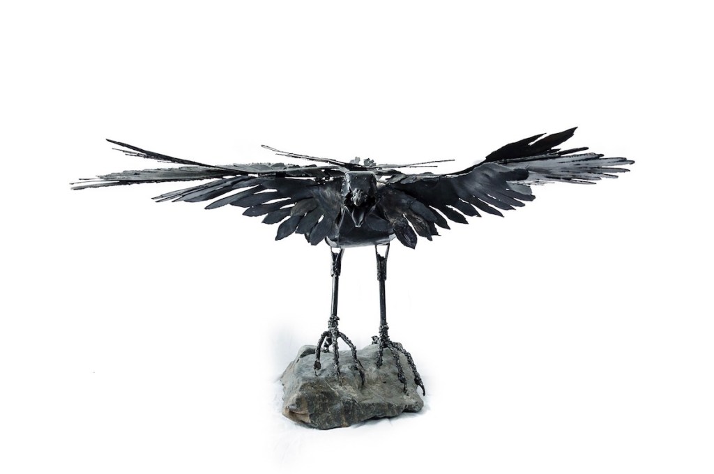Front view. Sculpture of Arnold the eagle hearted crow - a crow who thinks he is an eagle, Arnold is protecting and defending intelligence and strength against a tide of ignorance.. Made from mild steel.  