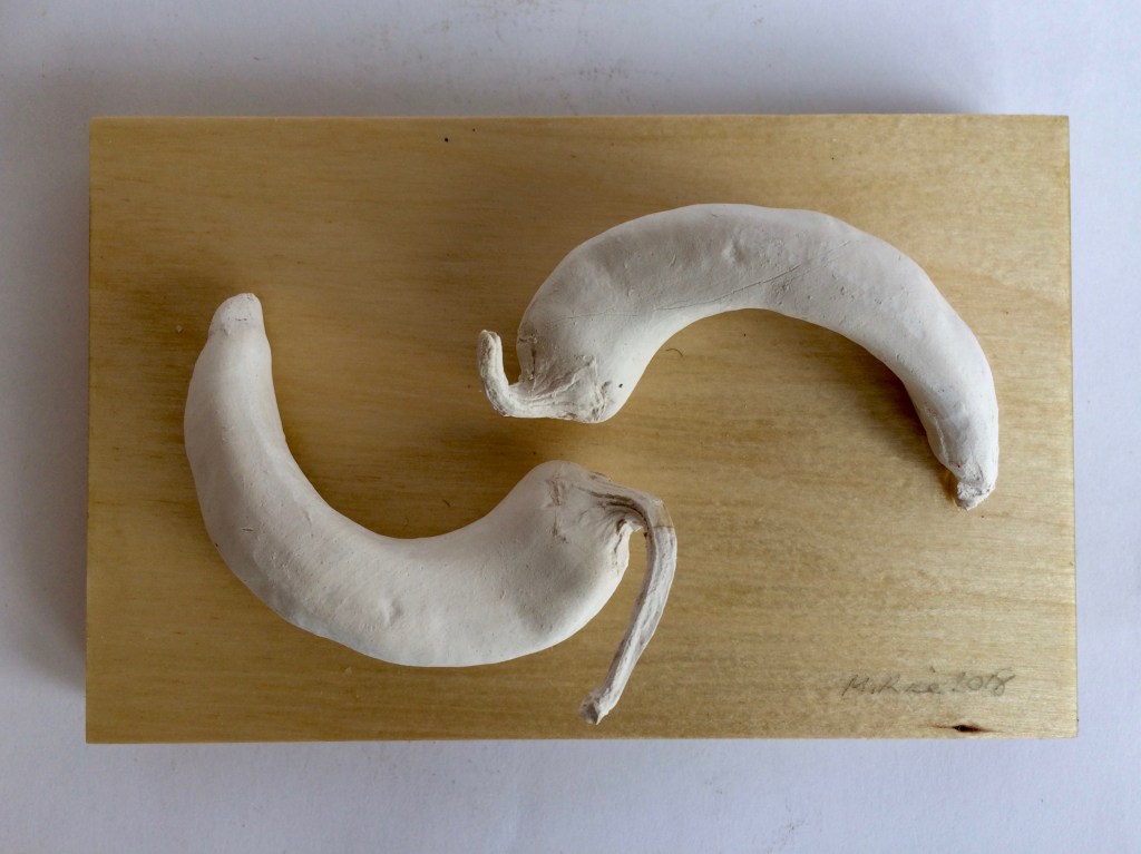 Yin & yang 2018. Small white ceramic chillies on ply. Wall hanging.
