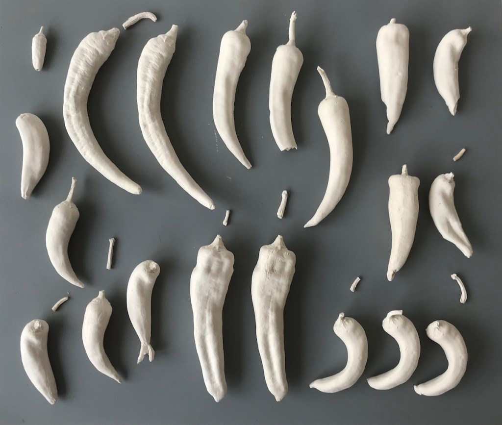 Relic Specimens repetition of different chilli castings mounted on board.