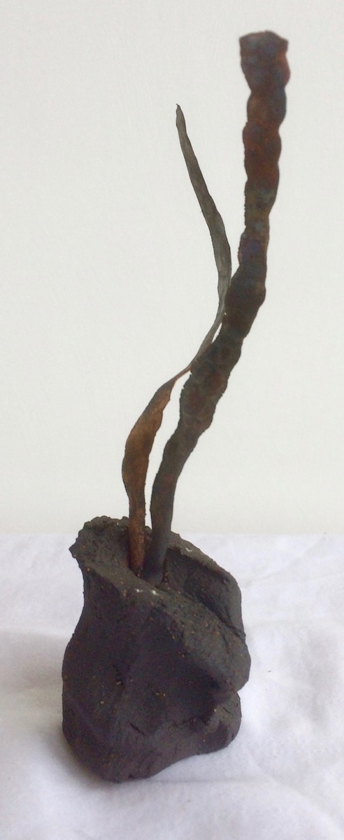 Small twin sprouts. 2017